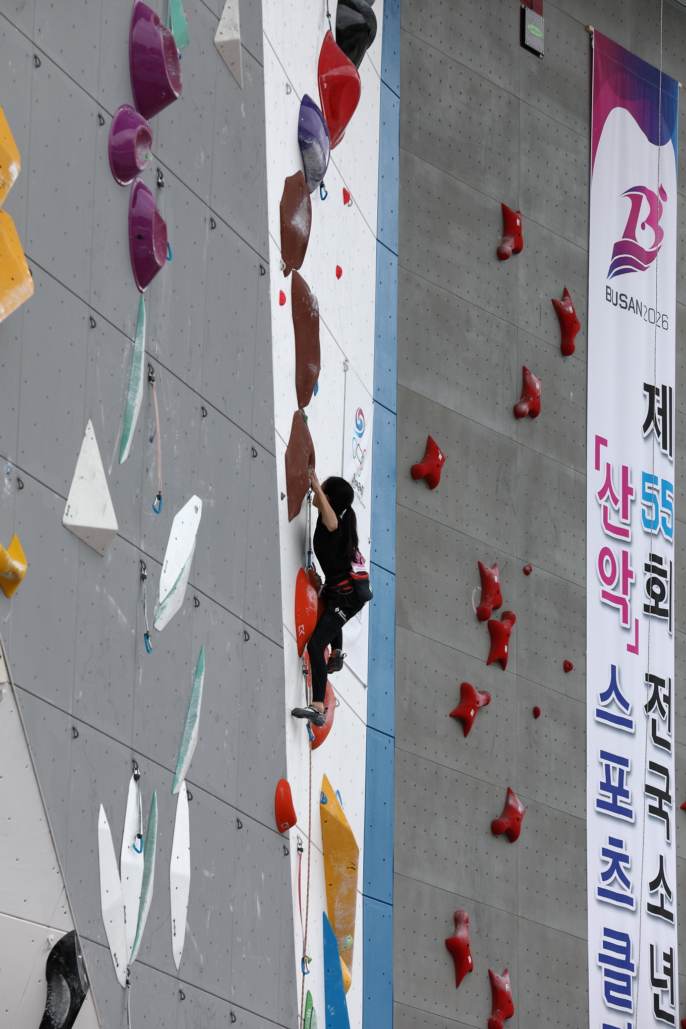 보기용_D6A7869.JPG