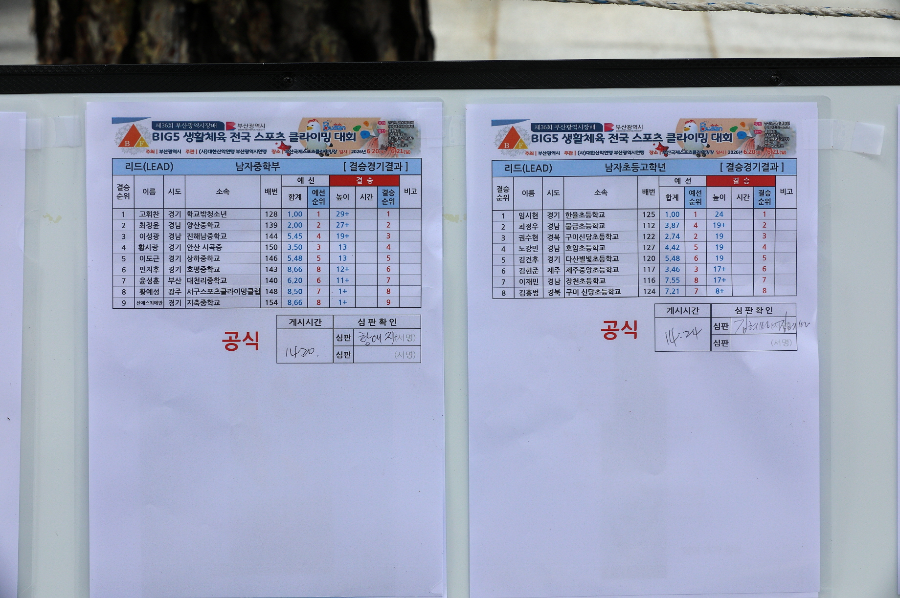 보기용_D6A8817.JPG