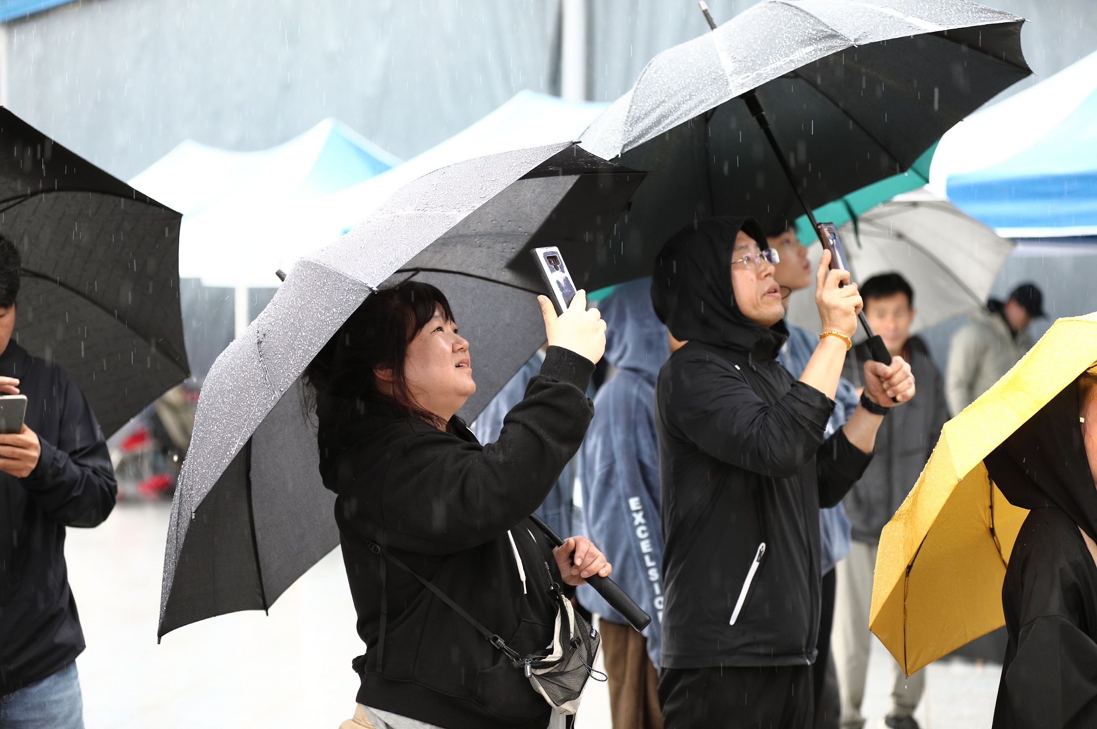 보기용_D6A0209.JPG